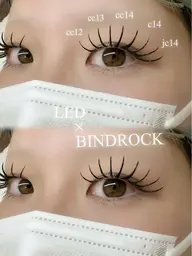 【OPEN価格】バインドロック 140束¥9900