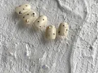 シンプルニュアンスデザイン💅✨オフなし