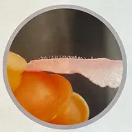 【ツヤ肌フェイスワックス✨】くすみ除去&毛穴引き締めで小顔効果アップ♪(保湿パック付)