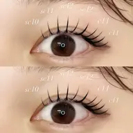 【フラットラッシュ】100本