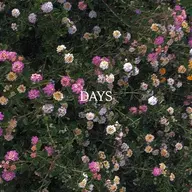 🌿デザインカラー【インナーカラー】＋カラー＋《潤い》トリートメント