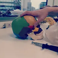 上部頸椎ターグルリコイルテクニック