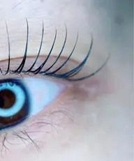 ラッシュリフト/上まつ毛