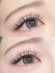 🌻フラットラッシュ🌻120本