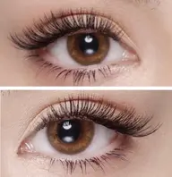 バインドロック40束