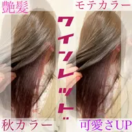 ✨流行りのハイトーンカラー艶カラー🙏🌈カット/アクセントに良い！インナーカラー🌈