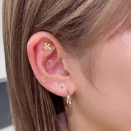 new!!🆕💕【耳つぼジュエリー💎】 ｜12個✨｜お洒落に美容と健康をサポート🧚🏻/ダイエット/体質改善