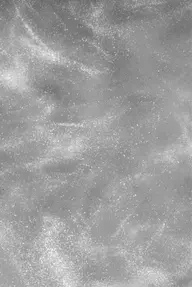 ショートスパ🛁頭皮クレンジング🫧