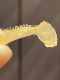 マツヤニホットセラピー＆クレイセラピー【初回カウンセリング込み約90分】