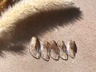 シンプル定額コース¥5000