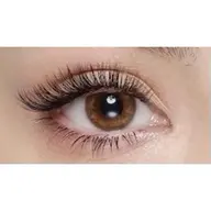 オフ込み 🫧 バインドロック 80束