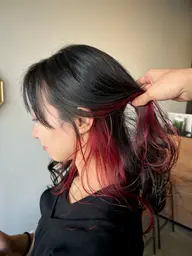 【30%off】職場でバレない隠せるインナーカラー✨(カット込み)