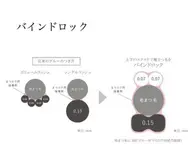 バインドロック 80束(アイシャンプー込み)