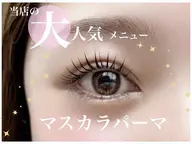 【セール🐥】ラッシュリフト🎀