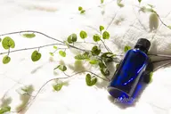 【全身リラックスアロマトリートメント】70​〜​80分 🕊️