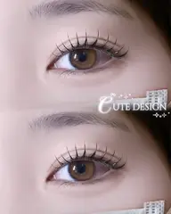 【当日予約限定】ラッシュリフト