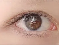 バインドロック100束⭐️【オフなし】