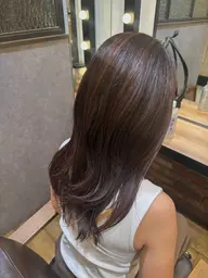 【✴︎ダメージが気になる方✴︎】カット+内部補正トリートメントM💙