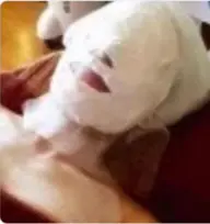 小颜（コルギ+上半身集中+パック付）