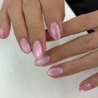 【初回ソフトジェル無料】マグネットワンカラー🌷