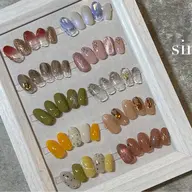 定額シンプルコース