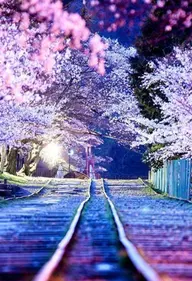 フットネイル(付け放題)