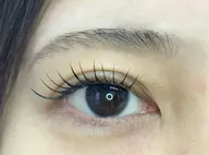 フラットラッシュ　100本