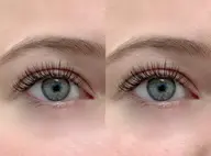 フラットラッシュ120本