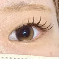 LED🔦×brownフラットラッシュ 120本