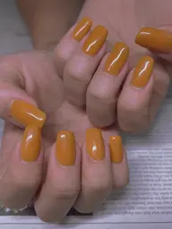 ワンカラーオフなし