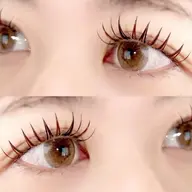 バインドロック60束