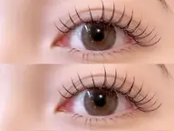 フラットラッシュ80本