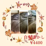 イルミナカラー白髪活かし