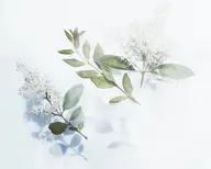 【限定】|背中肩首集中◎|骨盤ほぐし|上半身集中オイルリンパ60分