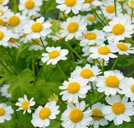 ★ ラジオ波フェイシャルトリートメント (60分)