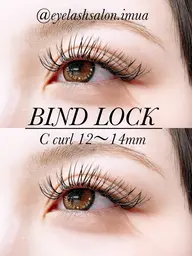 最新技術 バインドロック80束【コーティング込み】