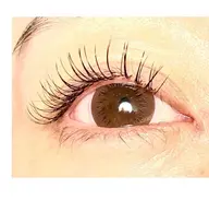 minimo限定フラットマットラッシュ100本🤎オフ•コーティング付き