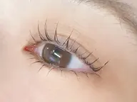 ※当日限定‼️ 【上下　まつげパーマ】