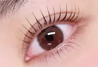 【練習モデル】パリジェンヌラッシュリフト🎀上下セット🧸ダメージケア+トリートメント🦋