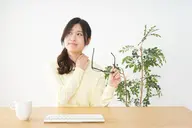 全身もみほぐし60分　※Googleの口コミをお願いします。