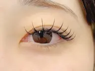 ✨バインドロック80束(お仕上げコーティング付き)✨