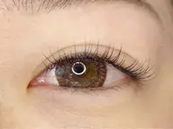 フラット/シングルラッシュ80本