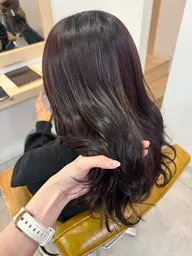 《新メニュー》髪質改善ケアカラー+カット