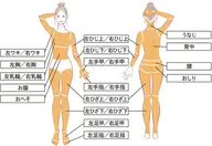 【初回お試し】レディース全身脱毛・お顔/VIOなし