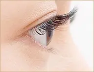 ✨ミニモ学割Ｕ24❇︎1Hつけ放題✨