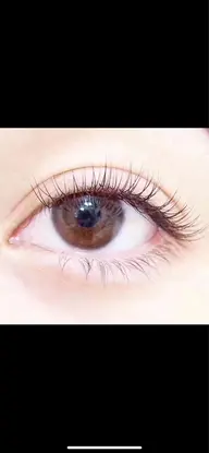 国産セーブル付け放題150本~（0.12/0.15/0.18JCD9-14mmオフ込み）