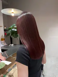 ワンカラー＋バイカルテトリートメント