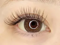 🤍minimo特別価格🤍フラットラッシュ120本（LED+1000円）