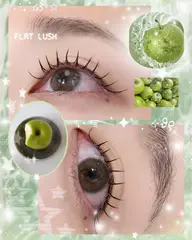 🩵ダブルラッシュ上100束オフなし🈹価格🩵トリートメント付き✨️