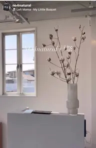 クレンジング炭酸プラン+似合わせカット